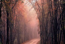 互联网金融股票龙头排名:股票手机如何交易-“鸽派”美联储即将来袭？大摩大胆预测：降息幅度或超市场预期！